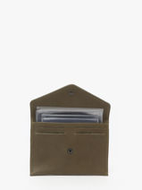 Leather Passport Holder Oil Etrier Green oil EOIL054-vue-porte