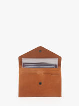 Leather Passport Holder Oil Etrier Brown oil EOIL054-vue-porte